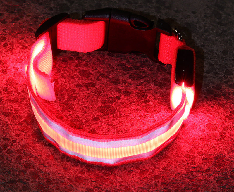 Led Luminous Dog Collar - Elixy Market
