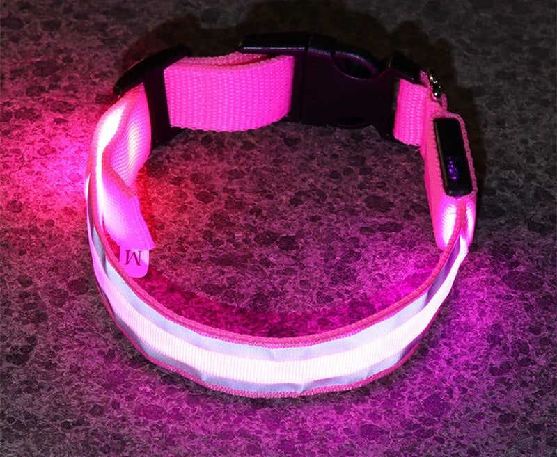 Led Luminous Dog Collar - Elixy Market