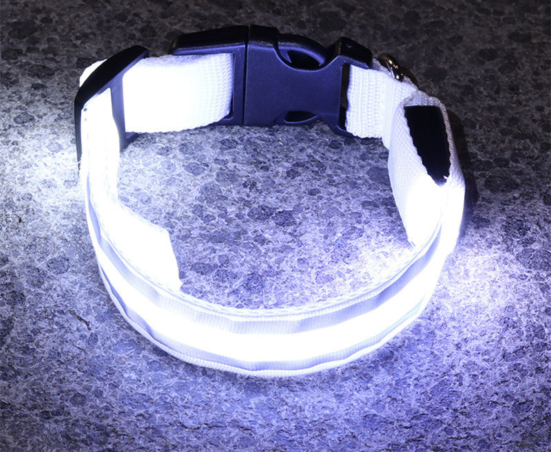 Led Luminous Dog Collar - Elixy Market